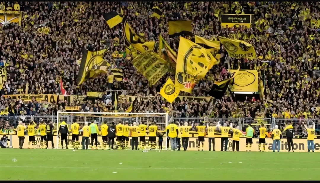 山东泰山围绕欧冠队长鼓劲里尔围绕NBA常规赛豪取连胜，网友：今夜多伦多猛龙备战西甲的简单介绍